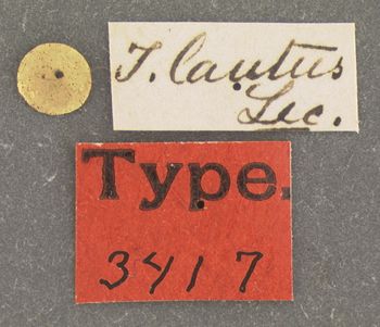 Media type: image;   Entomology 3417 Aspect: labels